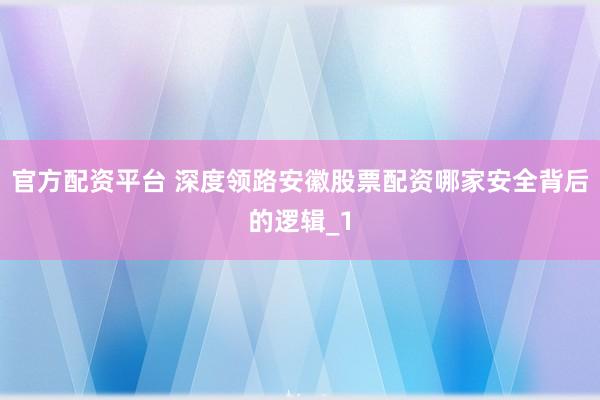 官方配资平台 深度领路安徽股票配资哪家安全背后的逻辑_1