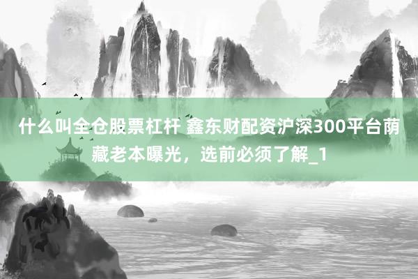 什么叫全仓股票杠杆 鑫东财配资沪深300平台荫藏老本曝光，选前必须了解_1