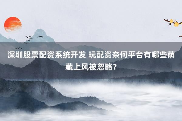 深圳股票配资系统开发 玩配资奈何平台有哪些荫藏上风被忽略？